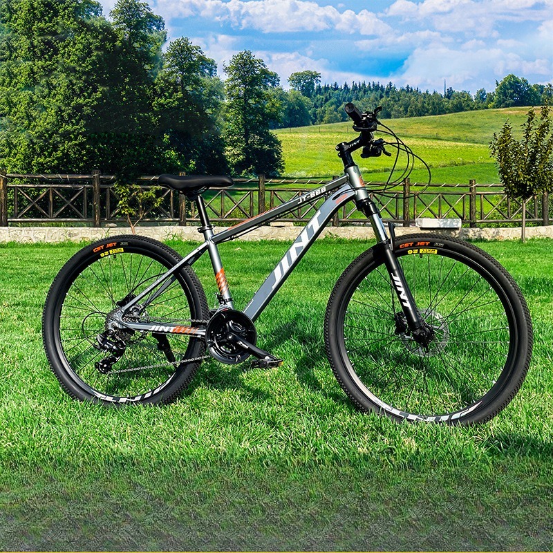 Оптовая продажа: Легкий дорожн – обзор и цена Commuting With Road Bike